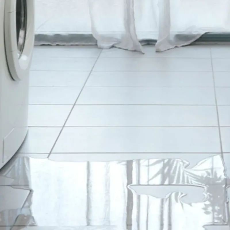 Appliance Leak Cleanup in Stillwater County, MT