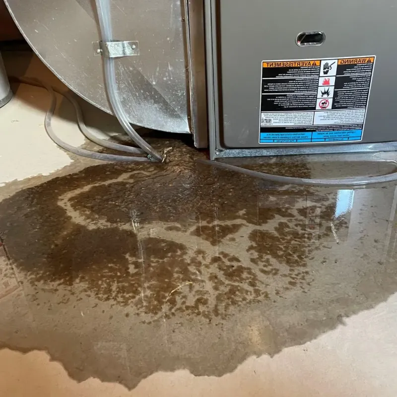 Pipe Burst and Leak Restoration in Stillwater County, MT